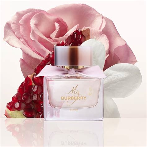 buy burberry blush